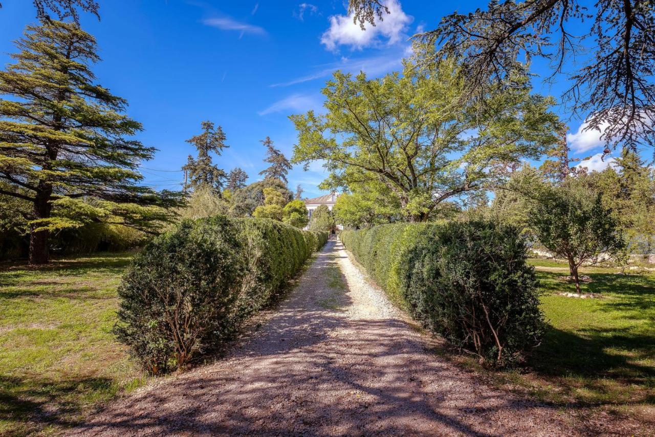 B&B En Provence- Villa Saint Marc Forcalquier Ngoại thất bức ảnh