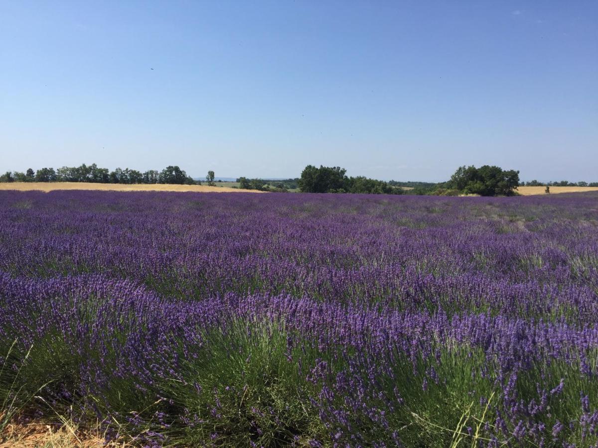 B&B En Provence- Villa Saint Marc Forcalquier Ngoại thất bức ảnh
