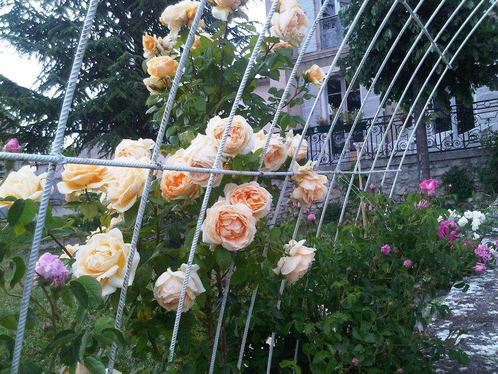 B&B En Provence- Villa Saint Marc Forcalquier Ngoại thất bức ảnh